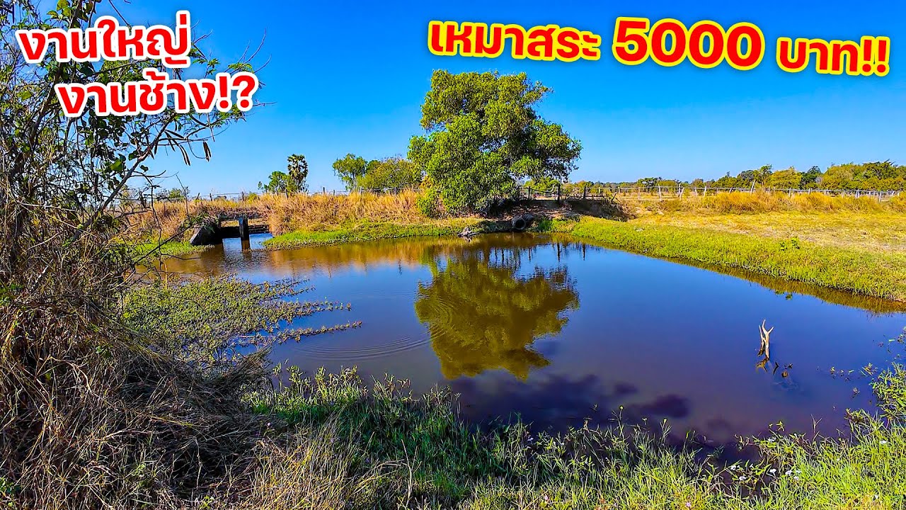 งานใหญ่งานช้าง!? เหมาสระ 5000 บาท!! หมานคุ้มค่าสุดๆ