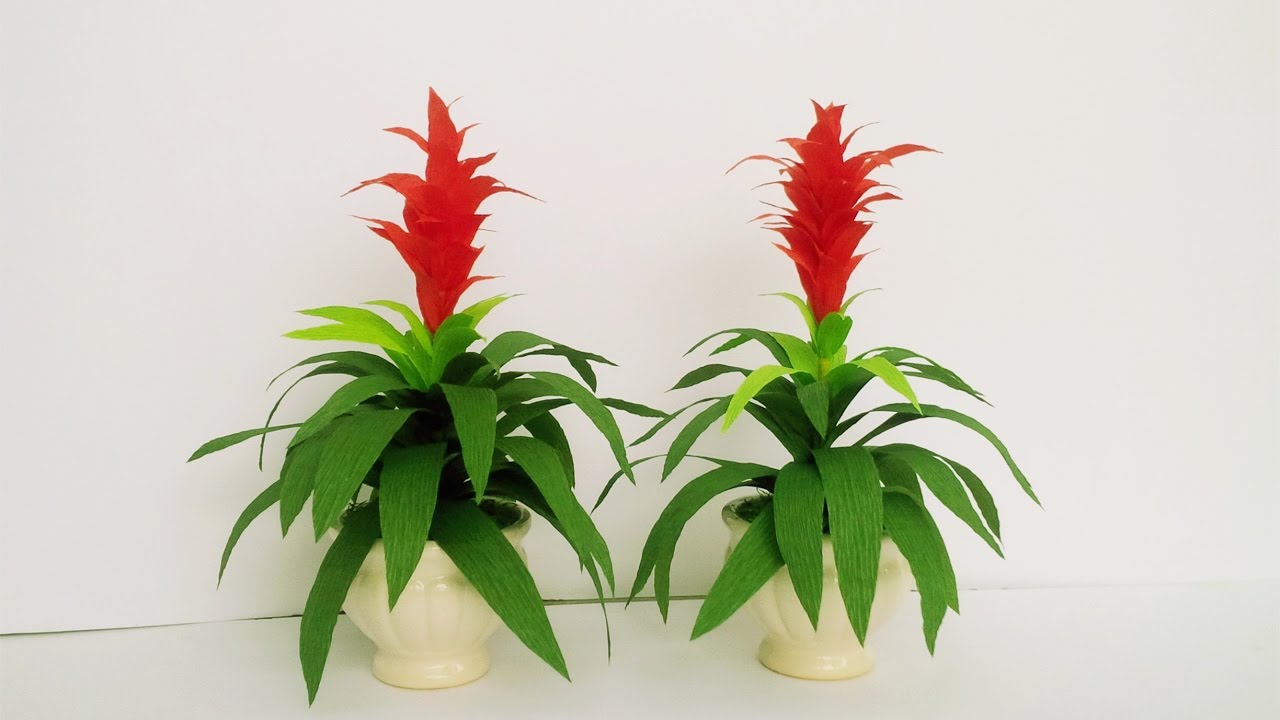 How To Make Guzmania ' Rondo ' Flower From Crepe Paper - Craft Tutorial