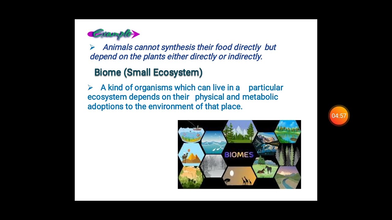 EVS-Ecosystem-Lecture-1
