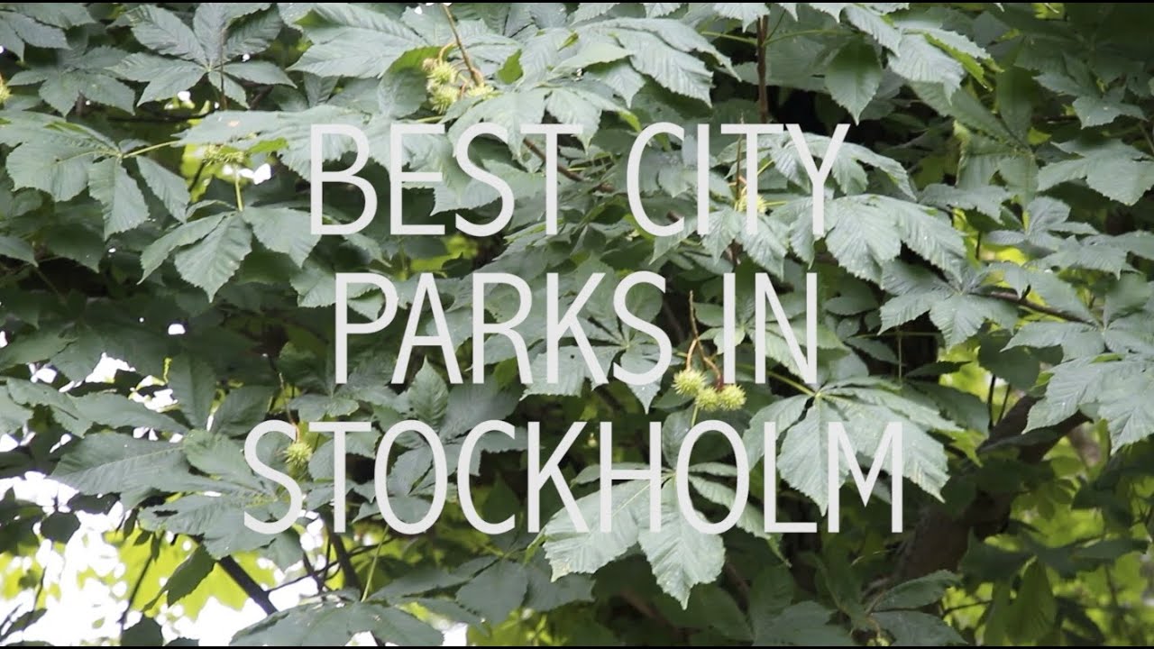 Best city parks in Stockholm