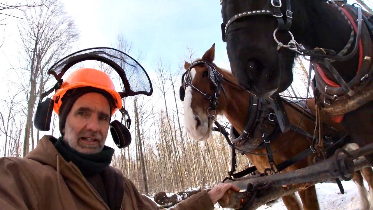 My Horse Drawn Logging Cart