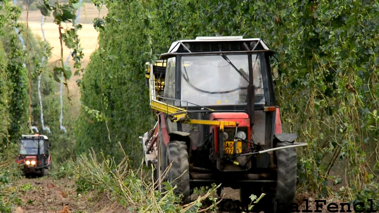 Sklizeň Chmele 2018 / Zem - Invest A.s. /  Czech Hops / Harvest Hops /  Hop Zbiorów *HD*
