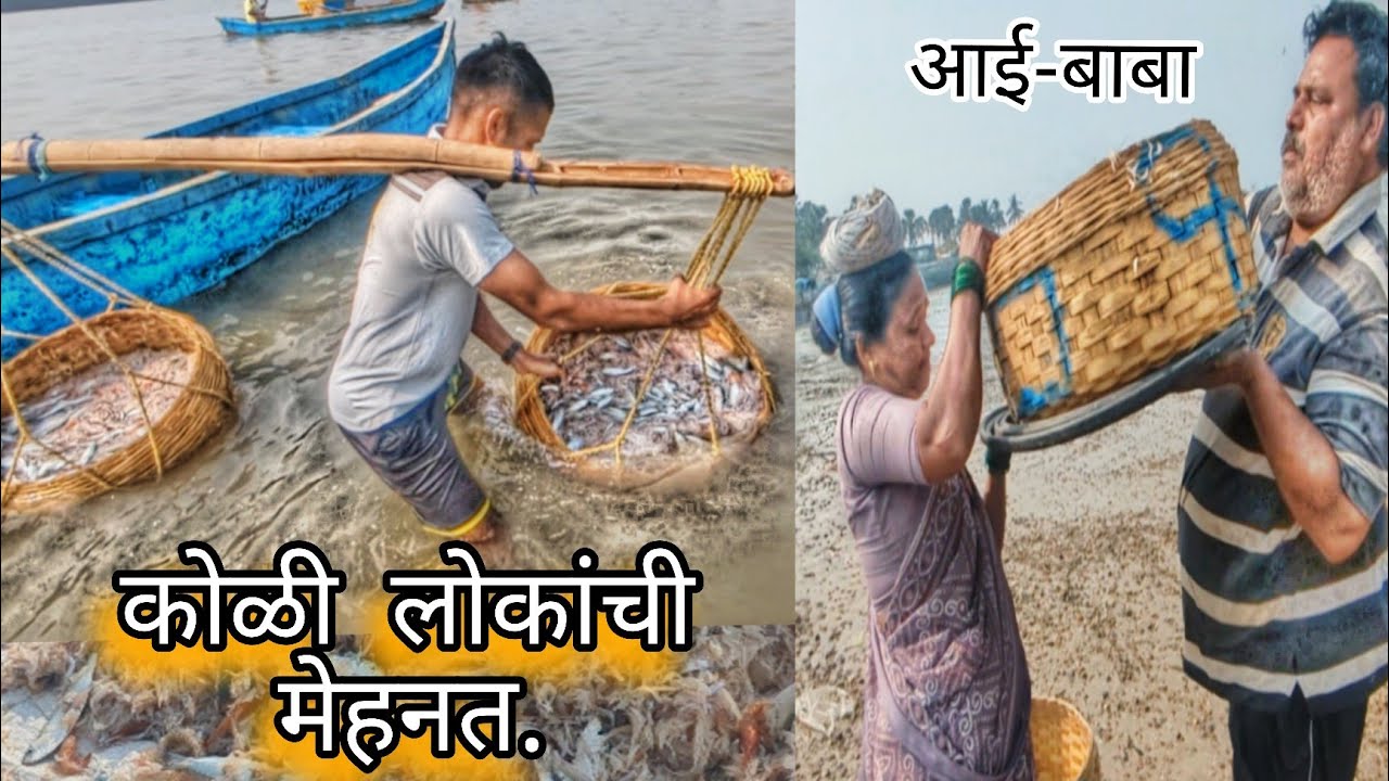 कोळी लोकांची मासळी निवडायची आणि स्वच्छ करण्याची पद्धत .Fish storing & cleaning process. #viralvideo 