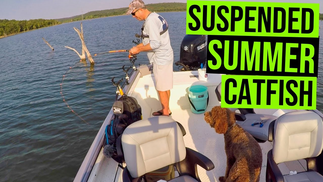 Suspend Fishing Summer Catfish (NOT ALWAYS Bottom Feeders)