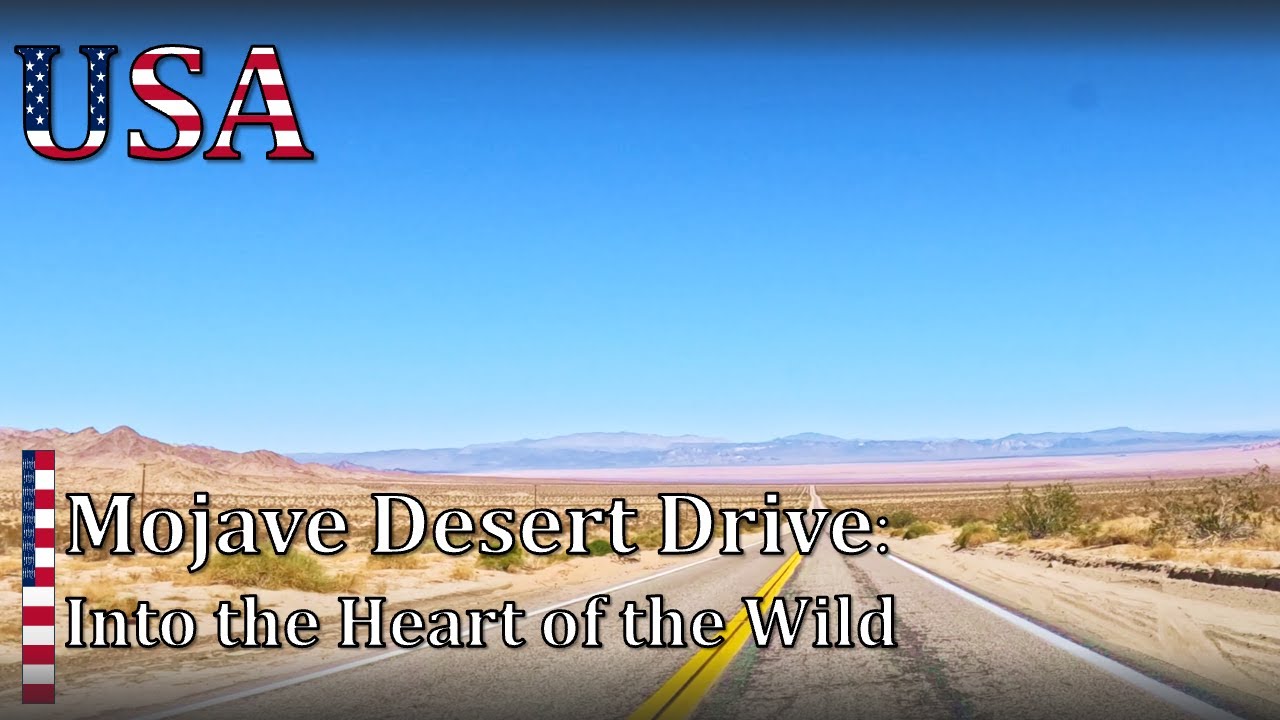 Road Trip Through the Mojave – California’s Wild Desert