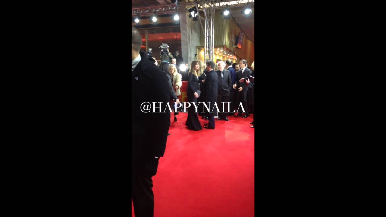 Fifty Shades of Grey Cast at the Berlinale 2015
