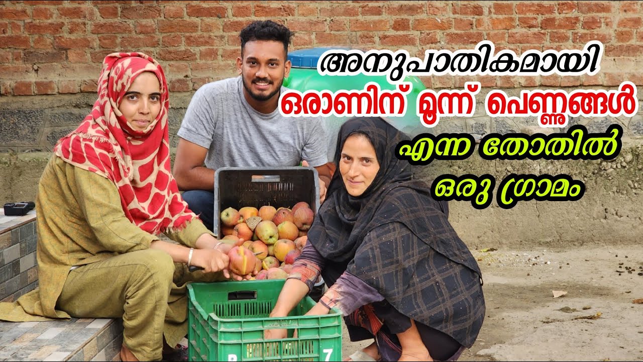 പെൺകുട്ടികളെ വിവാഹം കഴിക്കാൻ ആളില്ലാതെ കശ്മീരിലെ ബുച്ഛൻ എന്ന ഗ്രാമം | Kashmir village life