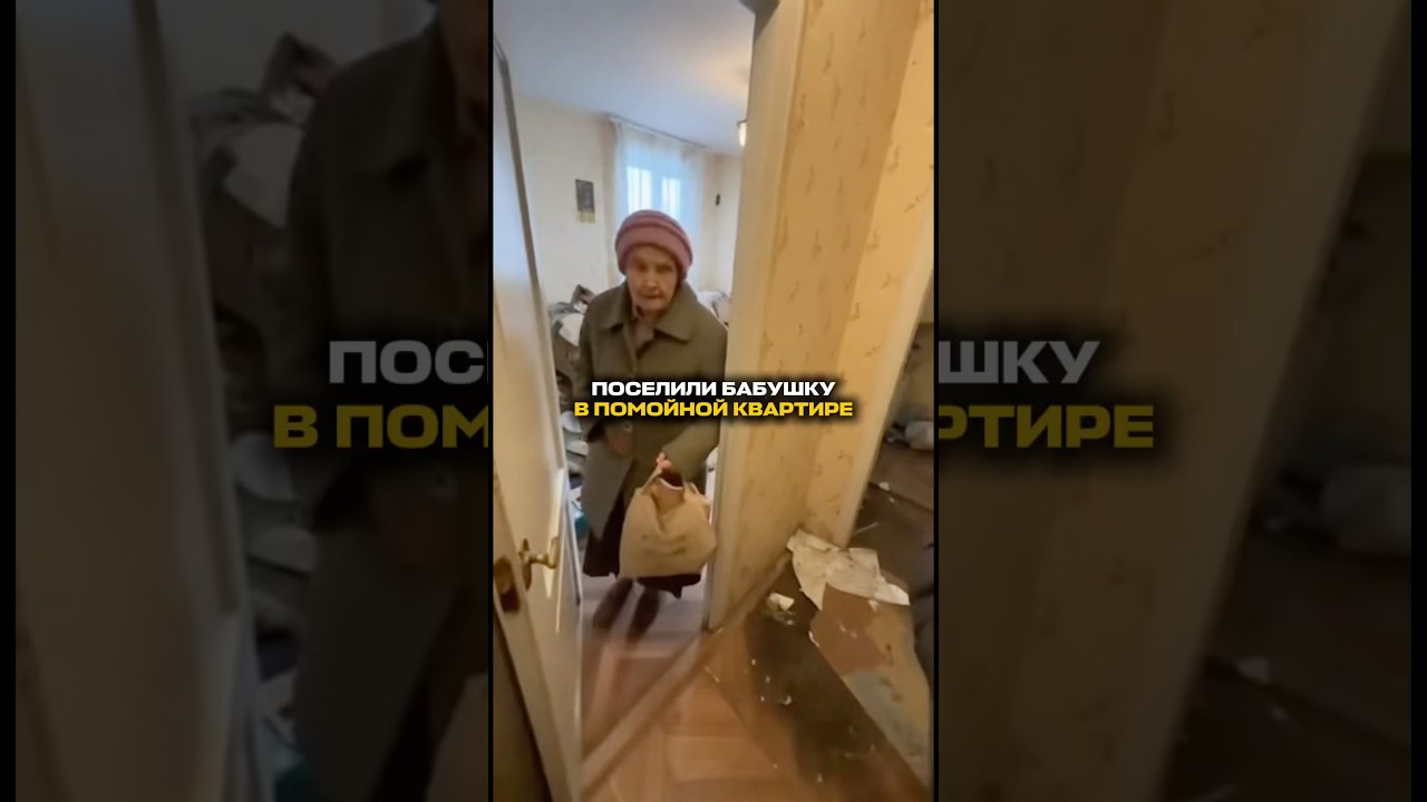 Артикул WB: #WW269864(Копируйте артикул с WW)