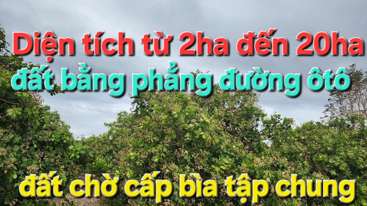 Bao nhiêu cũng bán. Diện tích 2ha đến 20ha cày được 100%