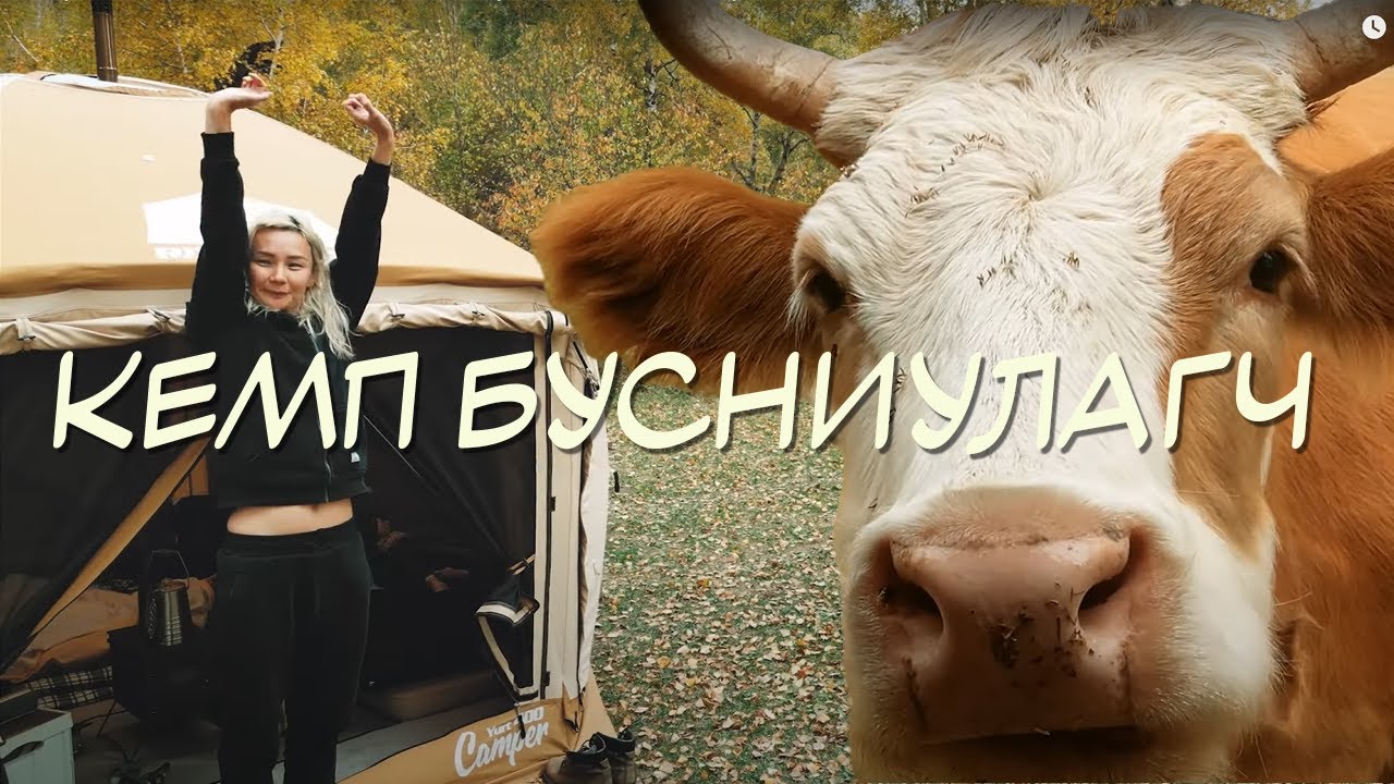 "БИДНИЙ АЯЛЛЫГ БУСНИУЛСАН ГЭНЭТИЙН ЗОЧИН! 🐄🔥 (ЛЮКС ХАЛУУН МАЙХАН + ГОЛЫН ЭРЭГ ДЭЭР КЭМП)"