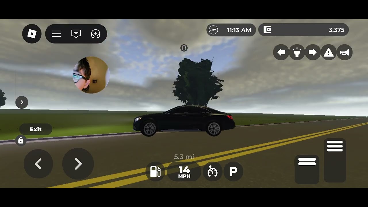 Playing Greenville on Roblox 