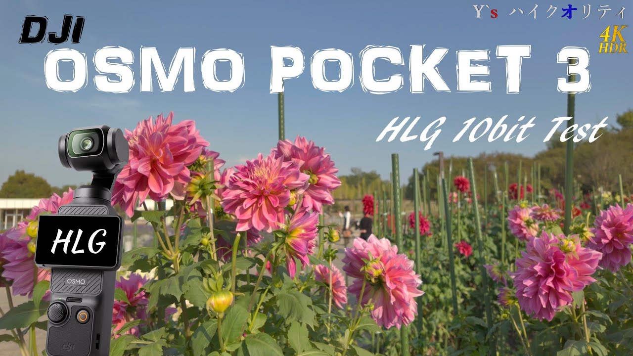 【4KHDR】DJI OSMO POCKET 3 HLG 10bit test！