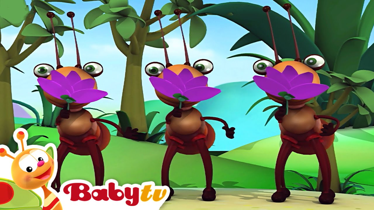Asiatiske toner med Insekternes band 🐜 🐞| Musik for småbørn 🎵 | Børnesange & rim @BabyTVDAN