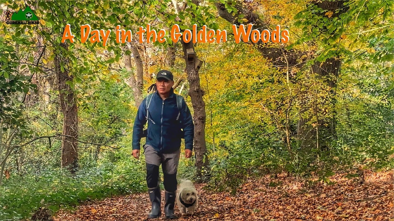 Walking Through Autumn’s Heart