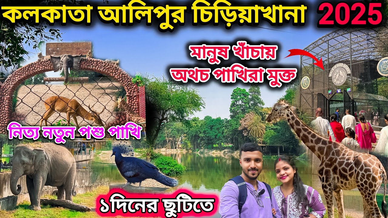 আলিপুর চিড়িয়াখানায় 2025 এর নতুন চমক। Alipore Zoo Kolkata. alipore zoo vlog.