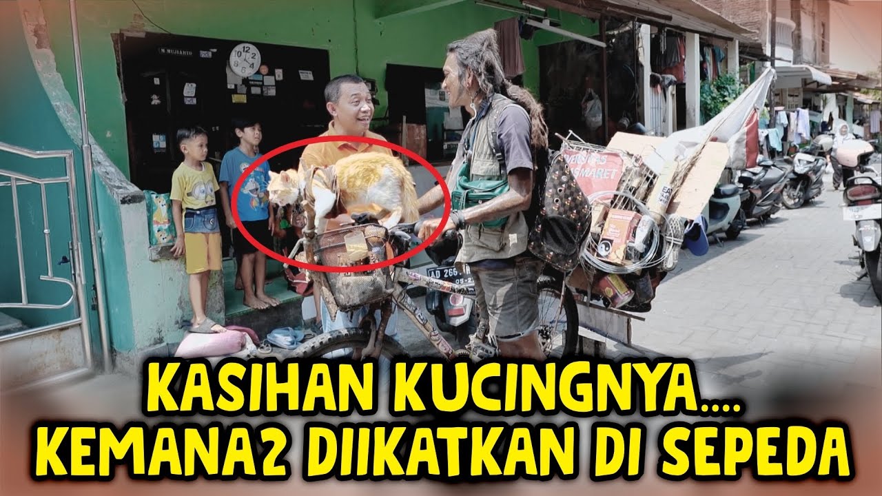 NGERIII POLLLL❗️😱❗️KUCINGNYA DITALI DIBAWA MENEMANI NGAMEN