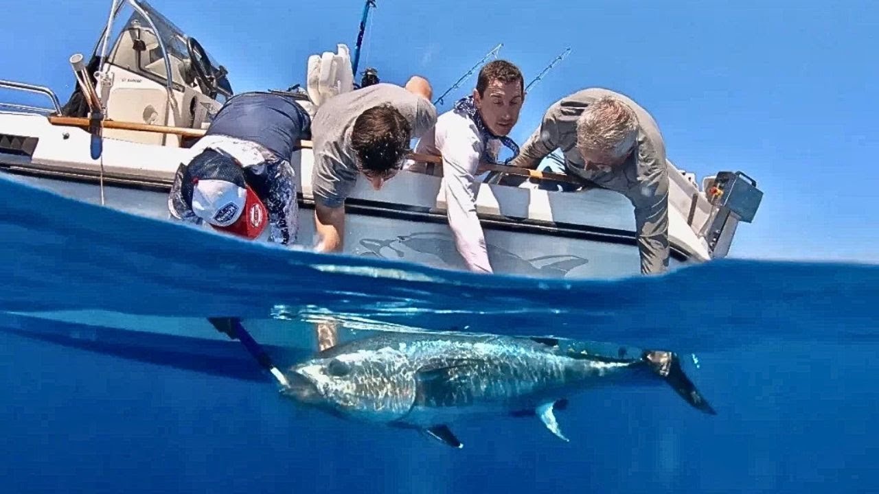 INITIATION A LA PECHE AU GROS DANS L OCEAN INDIEN