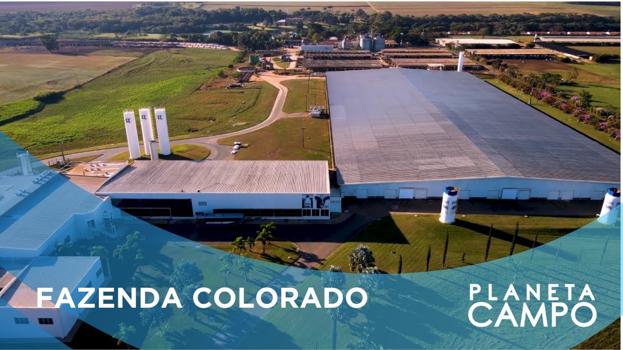 CONHEÇA A PROPRIEDADE ELEITA POR 11 ANOS COMO A MAIOR PRODUTORA DE LEITE DO PAÍS