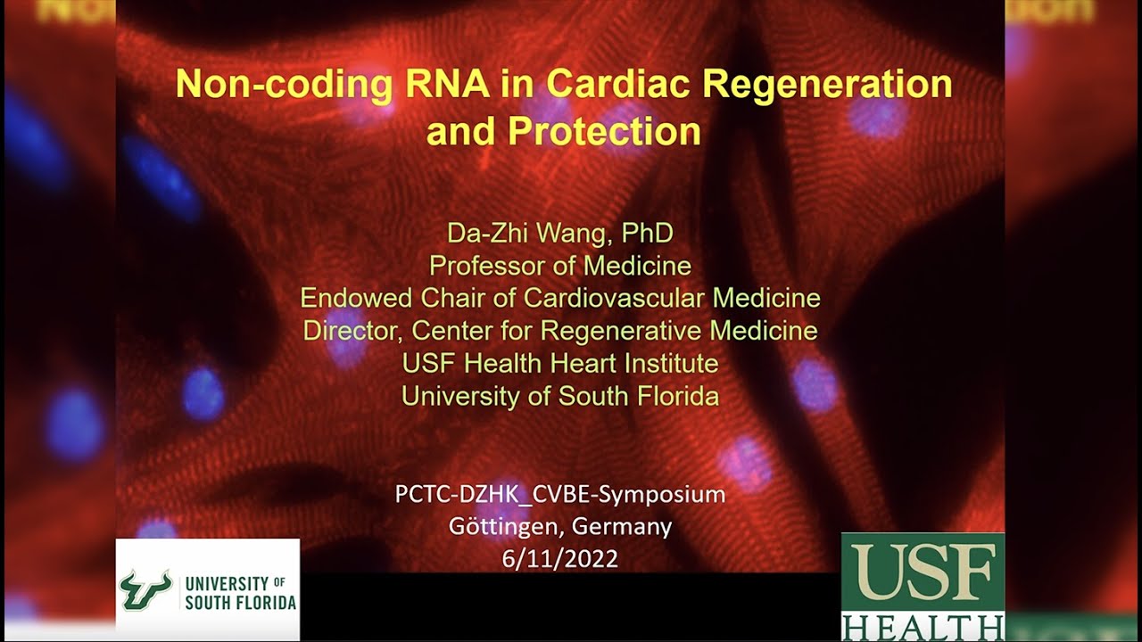 Non-coding RNA in Cardiac Regeneration and Protection —Da Zhi Wang