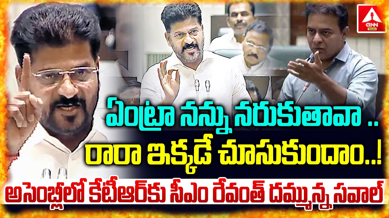 ఏంట్రా నన్ను నరుకుతావా..రారా ఇక్కడే  చూసుకుందాం..! | CM Revanth Reddy Mass Warning to KTR & KCR