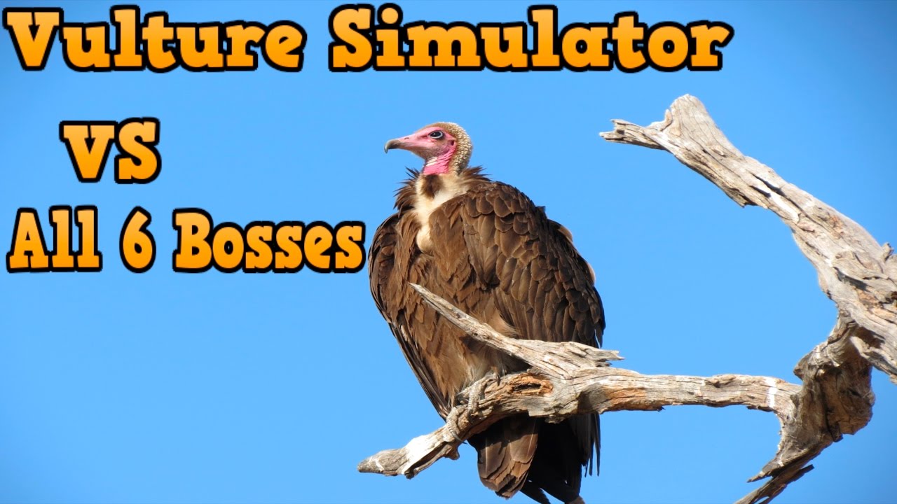 👍🦅Vulture Simulator VS All 6 Bosses -USS- By Gluten free Games -W/Commentary - iTunes/Android