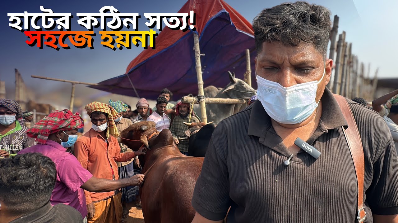 পাঁচ গরুর আগে কত মিসড ডিল? 😳 রাজশাহী সিটি হাটে কঠিন বাস্তবতা | Bangladesh Cattle Market