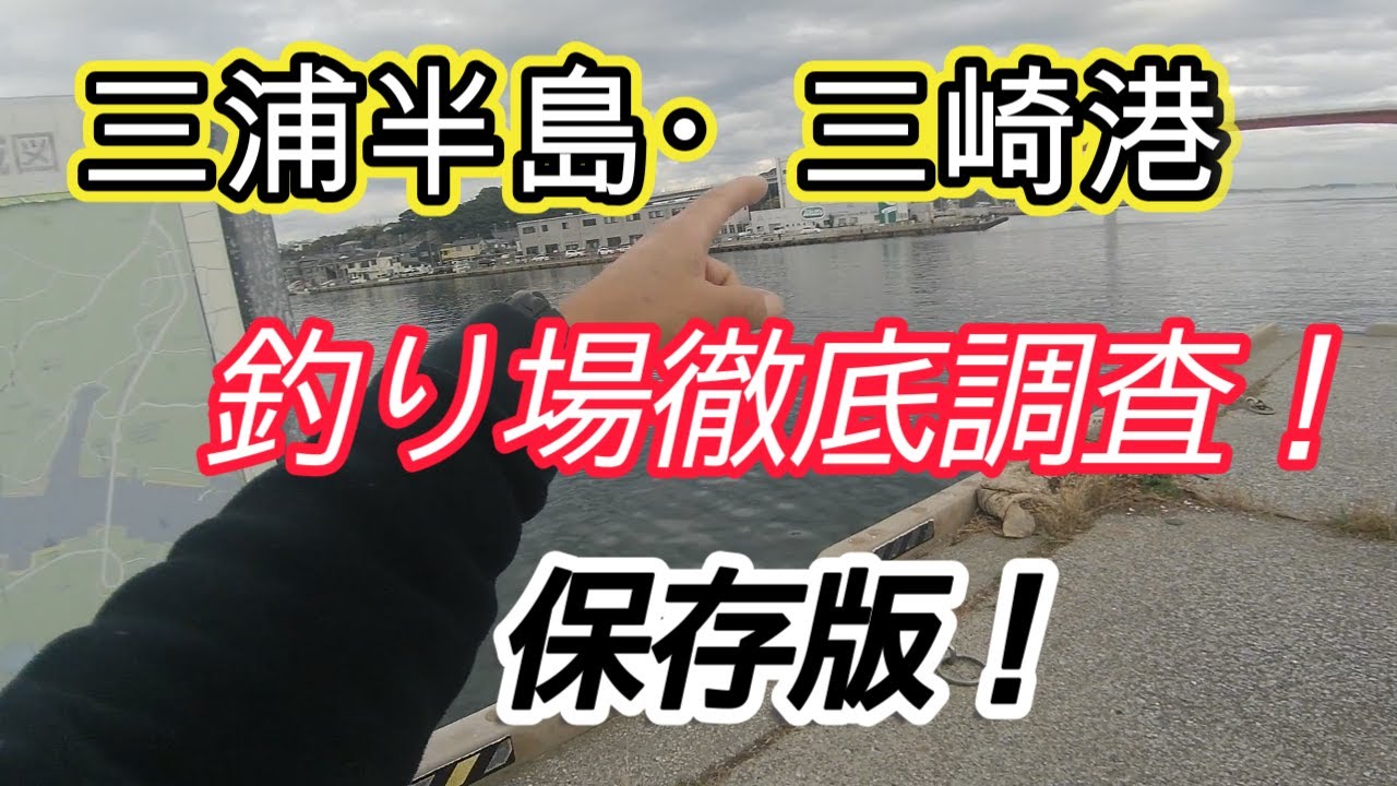三浦半島・三崎港、釣り場徹底調査、保存版！2025.11.22現在。向ヶ崎岸壁、花暮岸壁、市場前、超低温冷蔵前。
