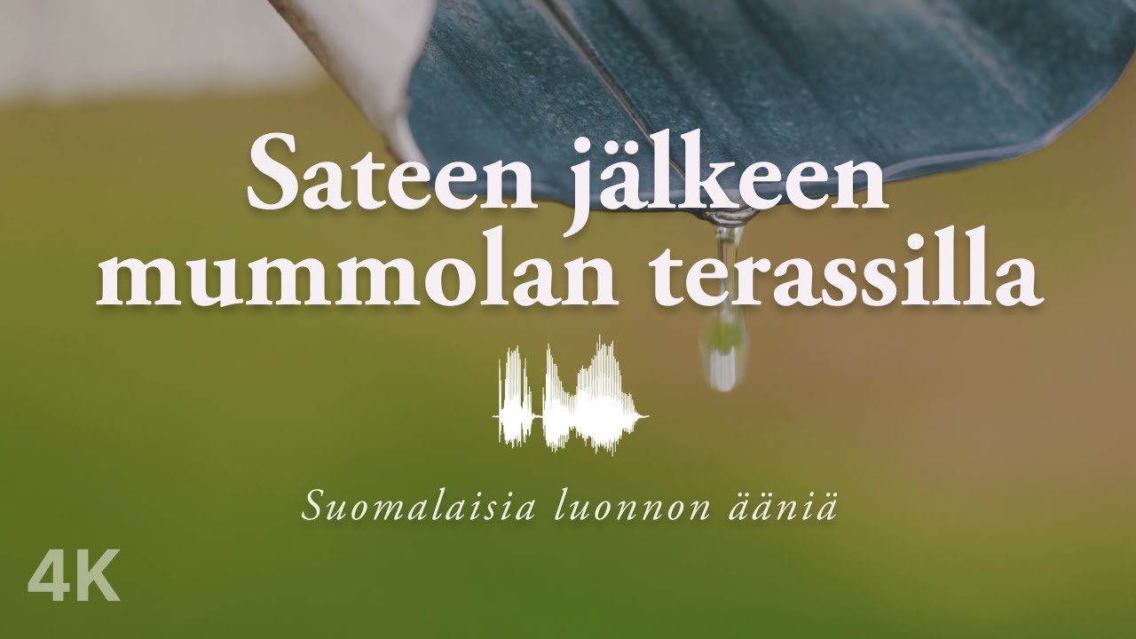 Suomalaisia äänimaisemia keskittymiseen // Sateen jälkeen mummolan terassilla