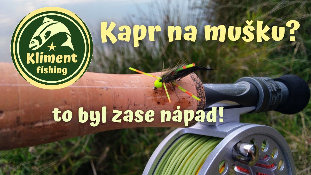 Kapr na mušku.... Co to je za móresy?