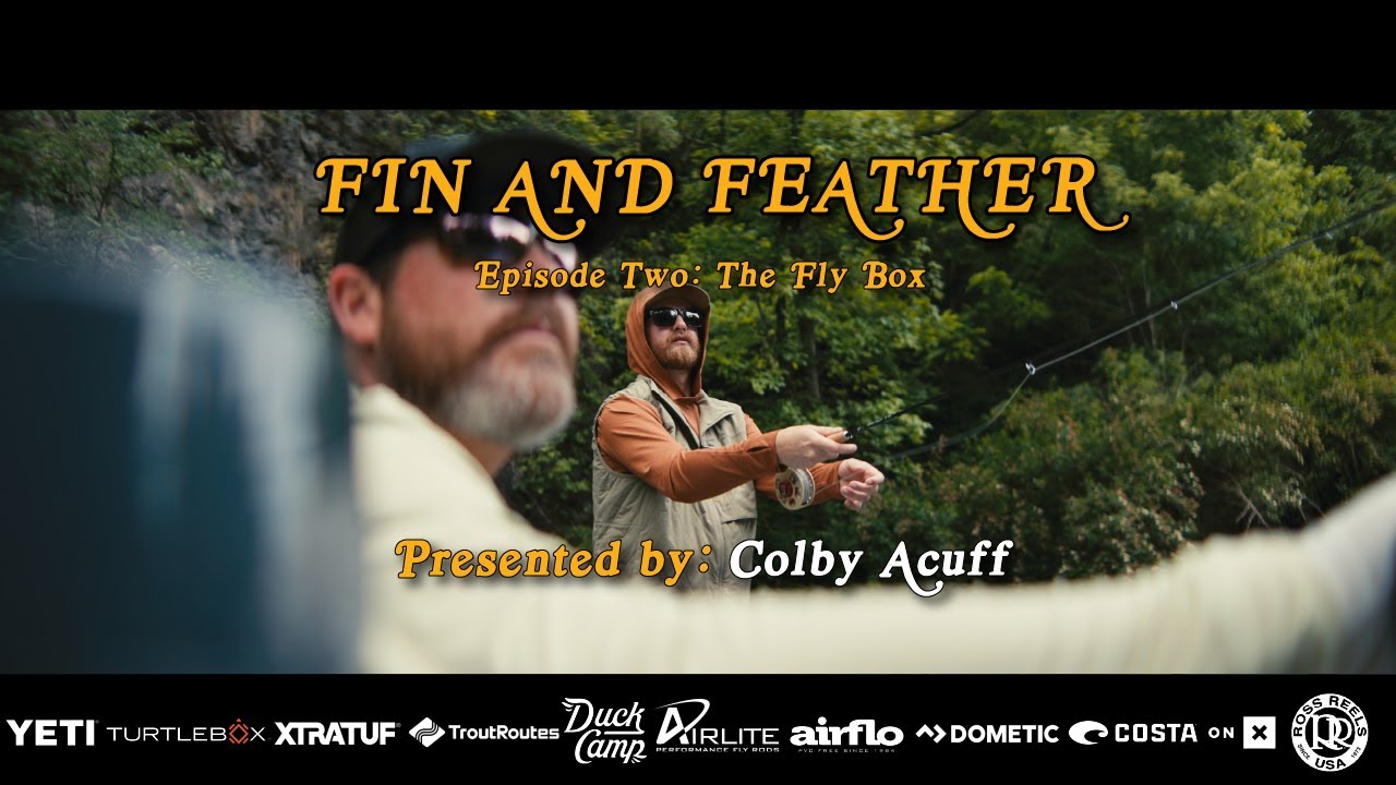 FIN AND FEATHER EPISODE TWO: 