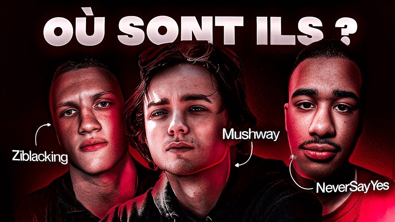 Que sont-ils devenus ? MINECRAFT (Mushway, NeverSayYes, Ziblacking...)