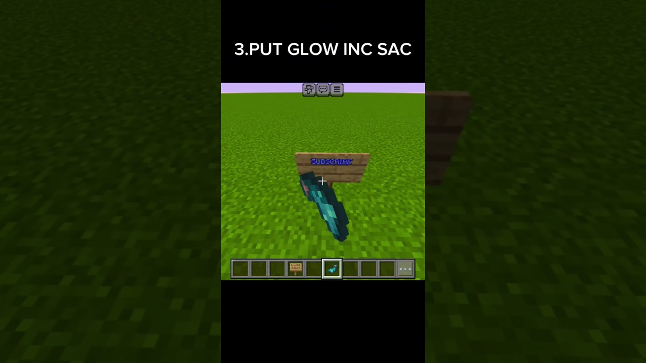 How to Make COLORED SIGNS GLOW In MINECRAFT! #shorts