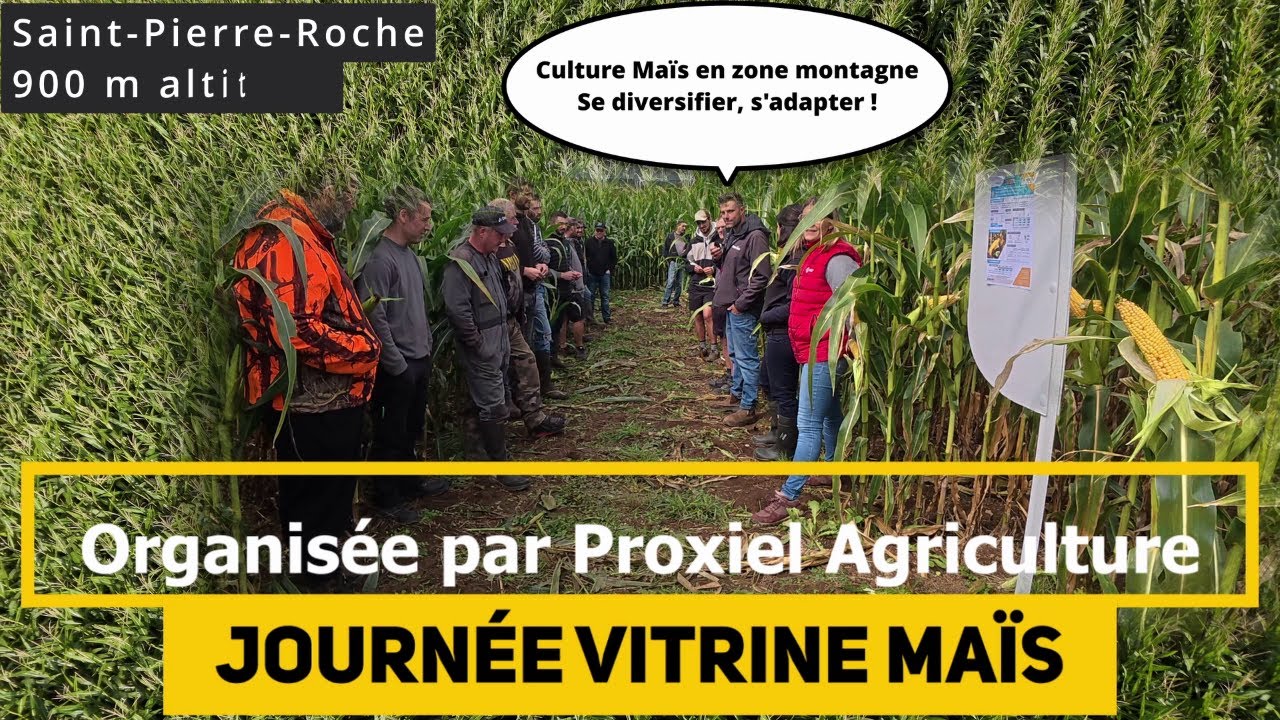 Journée Vitrine MAÏS organisée par Proxiel Agriculture à Saint-Pierre-Roche Puy-de-Dôme