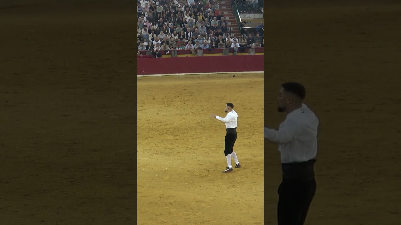Recorte realizado por Alex Felipo "Pipo" en el Campeonato Goyesco Zaragoza 2024 