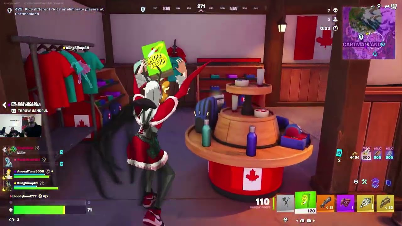Fortnite pro