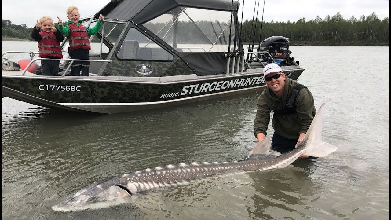 Fishing British Columbia!! Giant sturgeon, camping, and exploring (WT part 12)