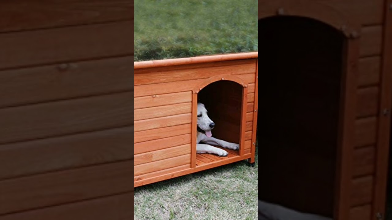 Dog House  🐕🛖 Rockever Wood Dog House 🐕 Product Link in Description #shorts