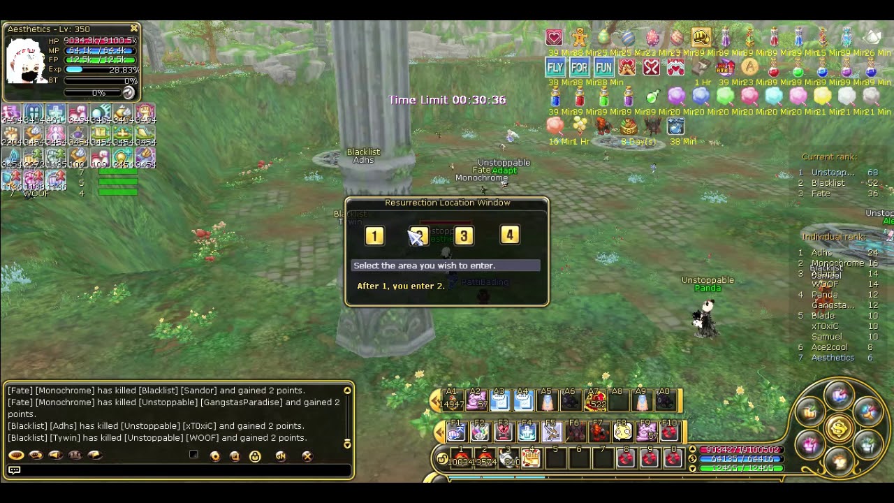 INSANITY FLYFF ASAL FM POV( MAIN SIEGE)