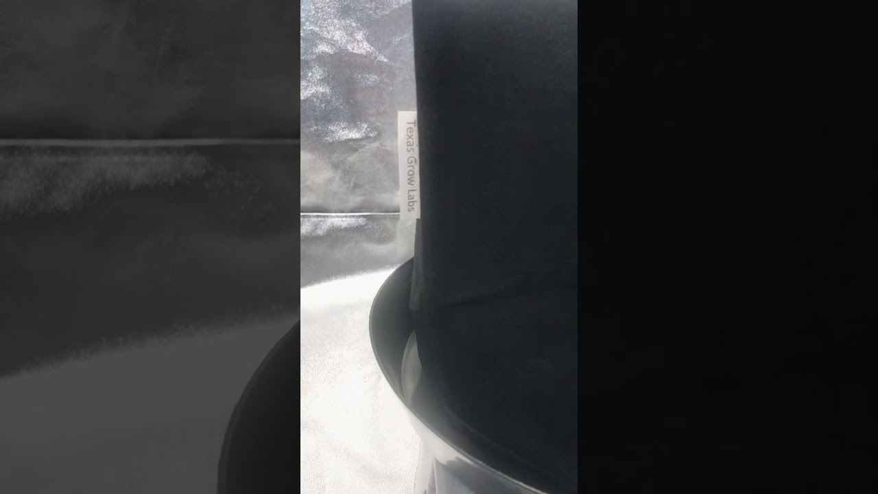 Introducing Texas Grow Labs 3 Gallon Fabric Pots - Optimal Growing Solution!