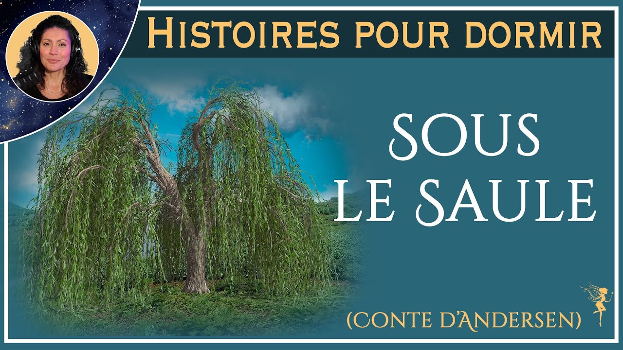 Histoire pour dormir  |  Sous le Saule | Conte d'Andersen (Attention : histoire triste !)