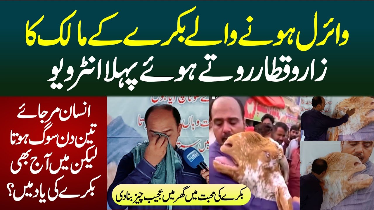 Viral Hony Waly Bakery K Malak Ka First Exclusive Interview||Spn News||Mian Arslan