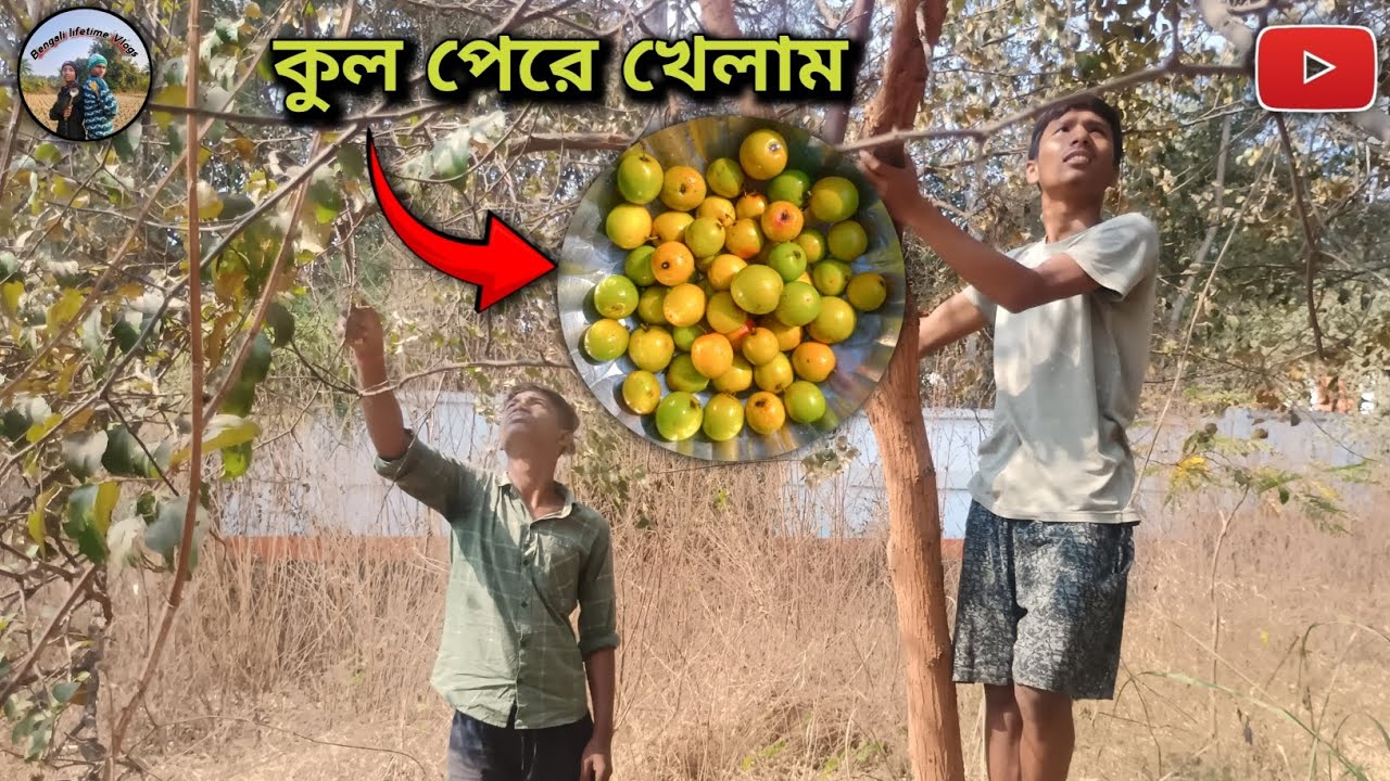 গ্রাম্য পরিবেশে কুল পেরে খাওয়া | #bengalilifetimevlogs #villagevlog #vlog 