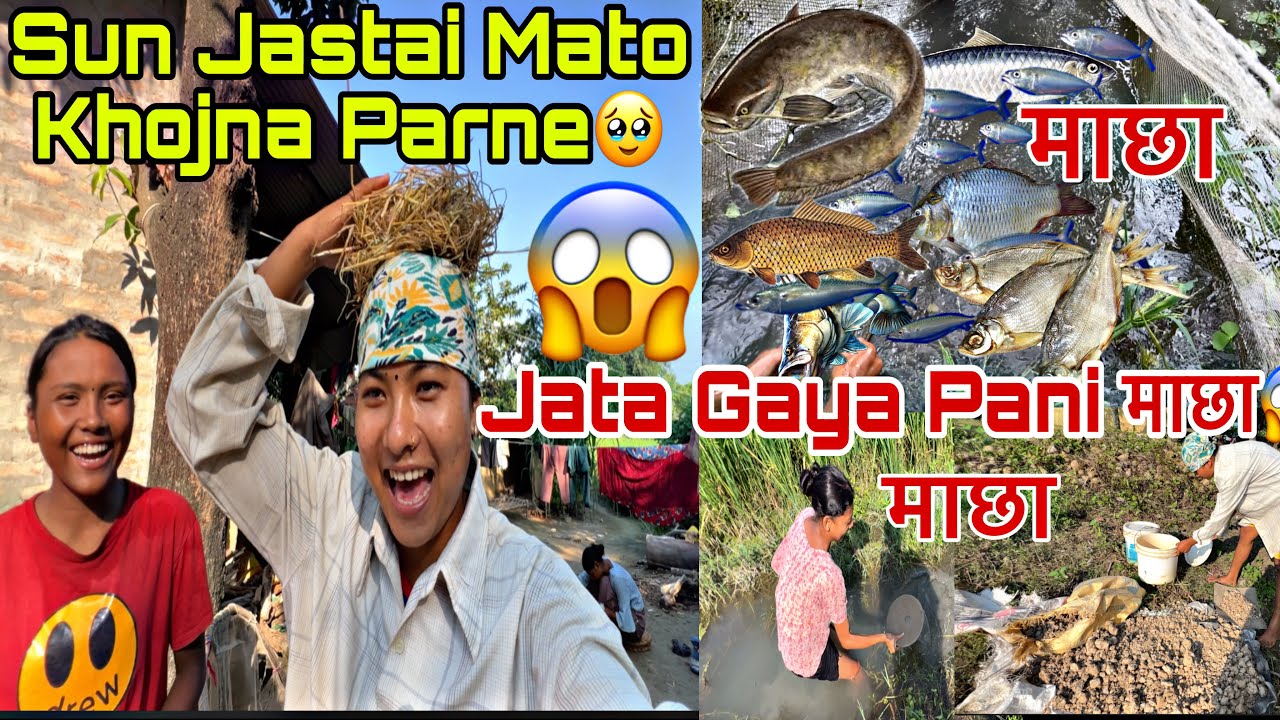 GAAU VARI MAXA MAXA K HO ASTO😱||Sanjana❤️Tharu||vlog🥀