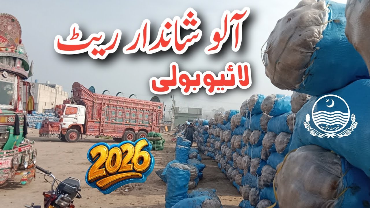 Potato Price 2026 | Global Demand, Pakistan Export & International Market Analysis