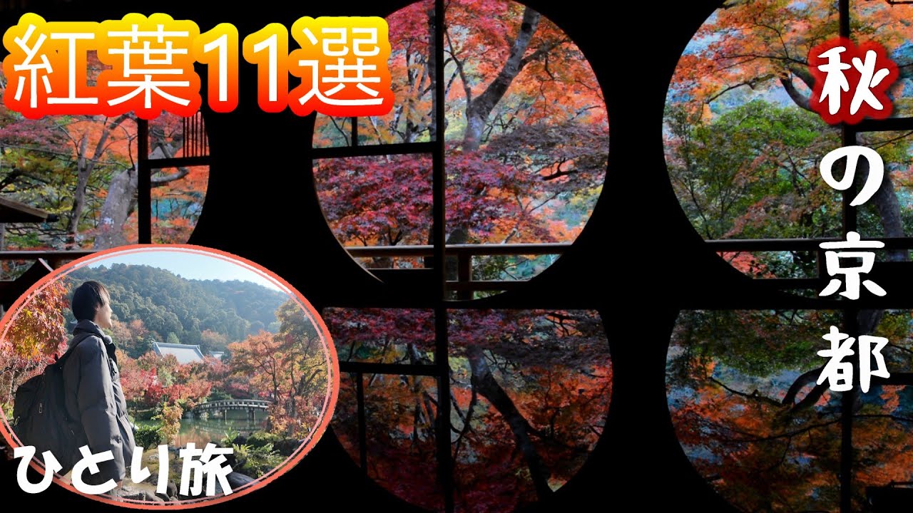 【秋の京都ひとり旅】京都11選の紅葉スポット巡り旅/激安民宿「寿々喜荘」「京都マイペンション」に宿泊