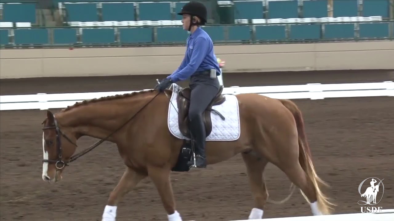 Nosebands  Preferences, Types & Purpose