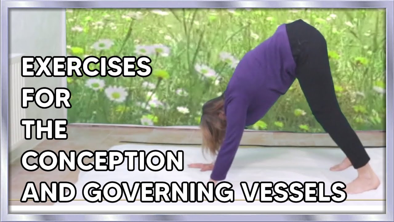 Governing and Conception (Du Mai & Ren Mai) Vessels Exercises #chinesemedicine #energy #healing