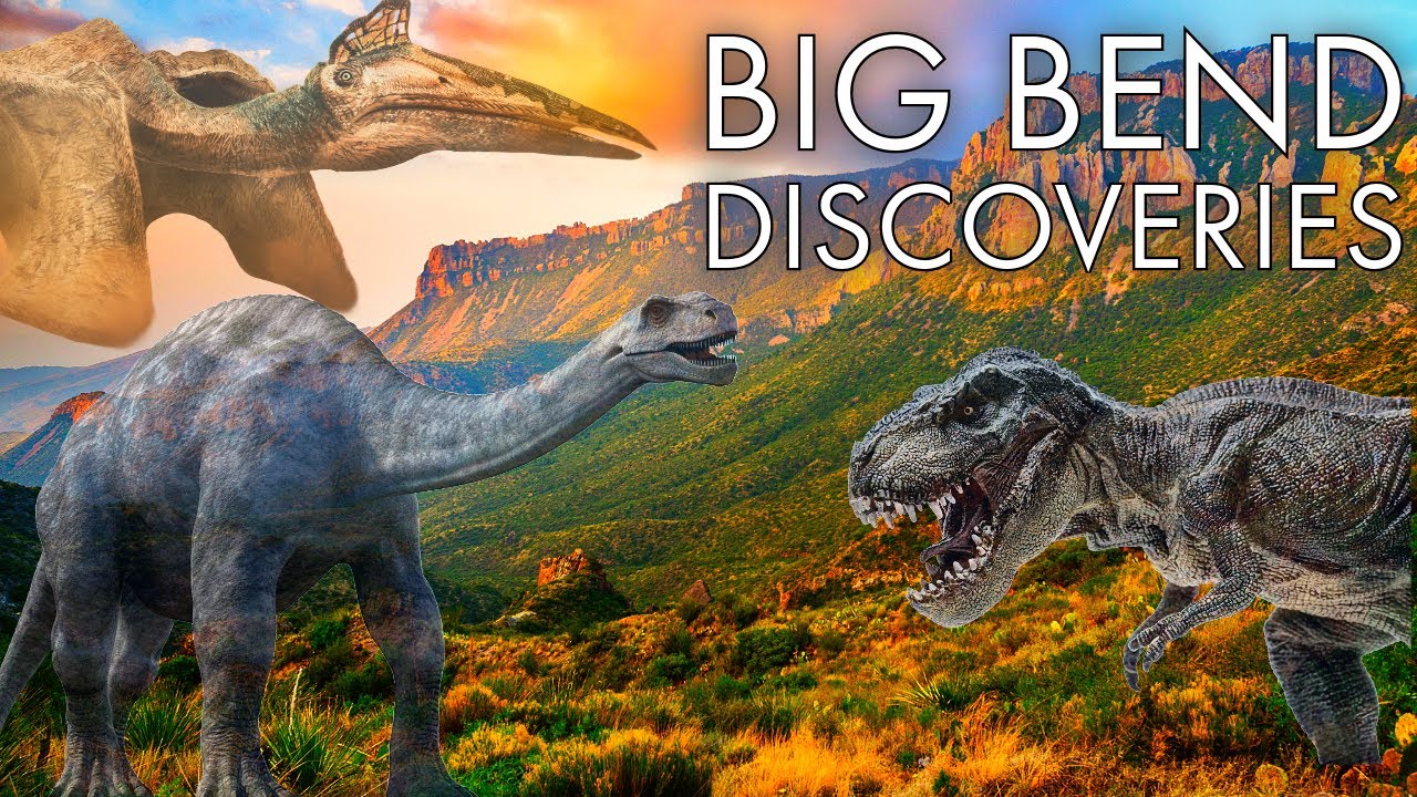 Uncovering Texas' Ancient Monsters: Fossil Discoveries at Big Bend