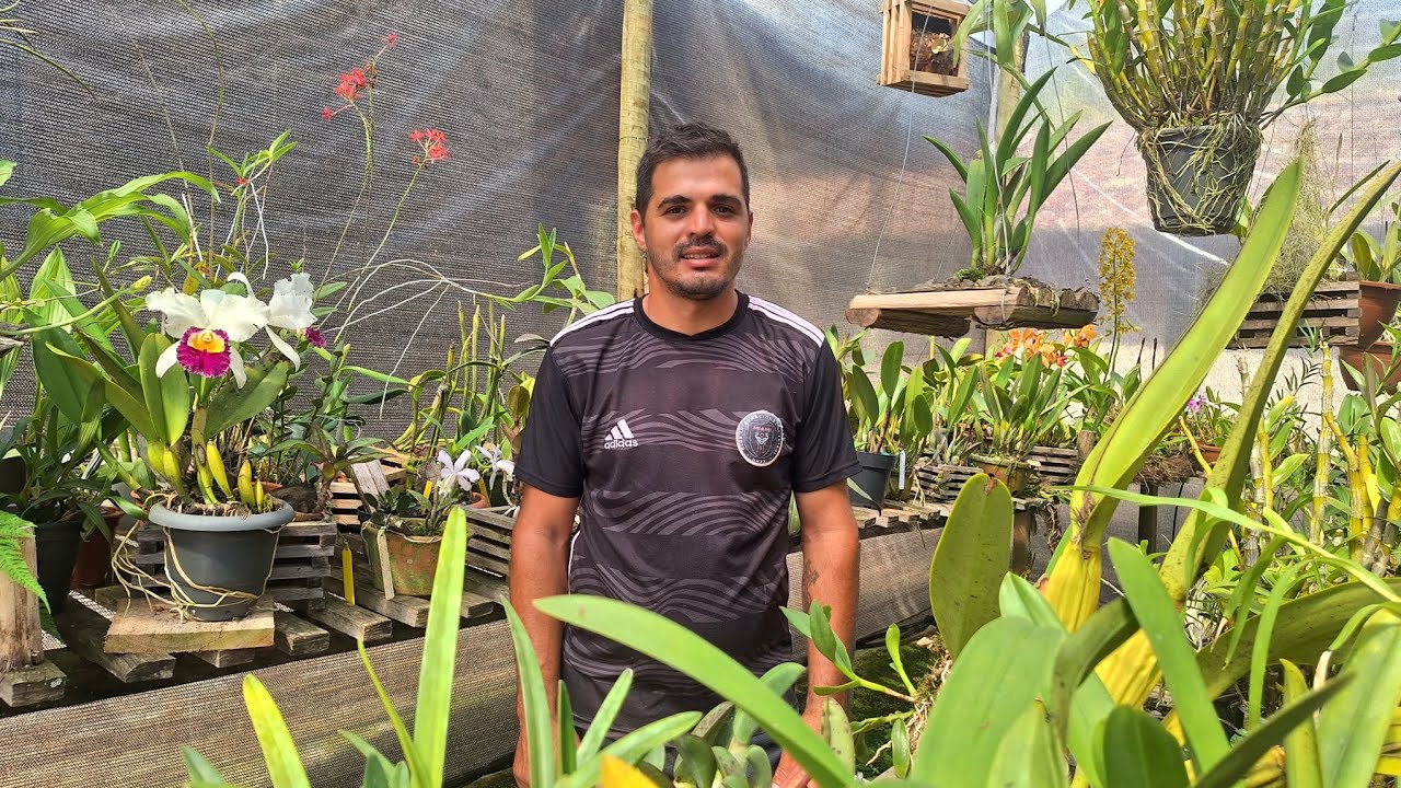 Plantas novas no orquidario, último video 2025, 