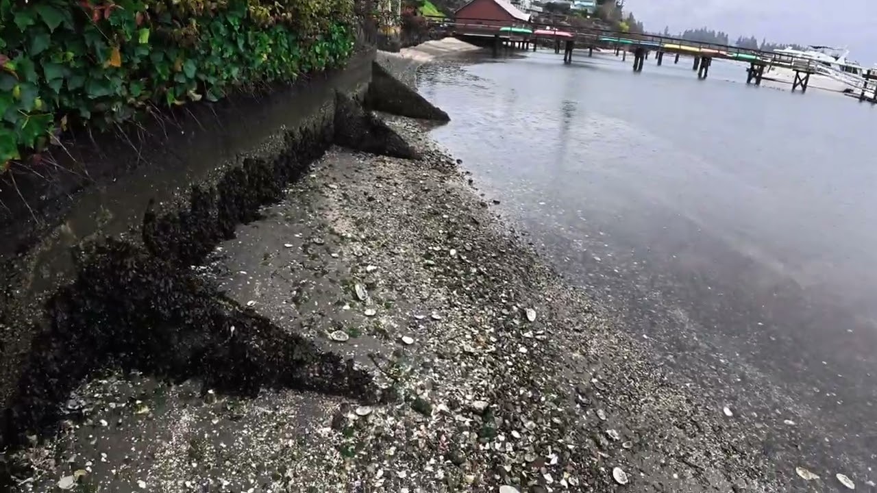 Keyport, Washington Beach Walk 🇺🇸 | Quiet Waterfront Town Near Seattle (4K)